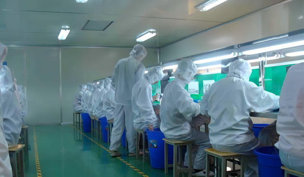 香蕉APP在线观看模组
